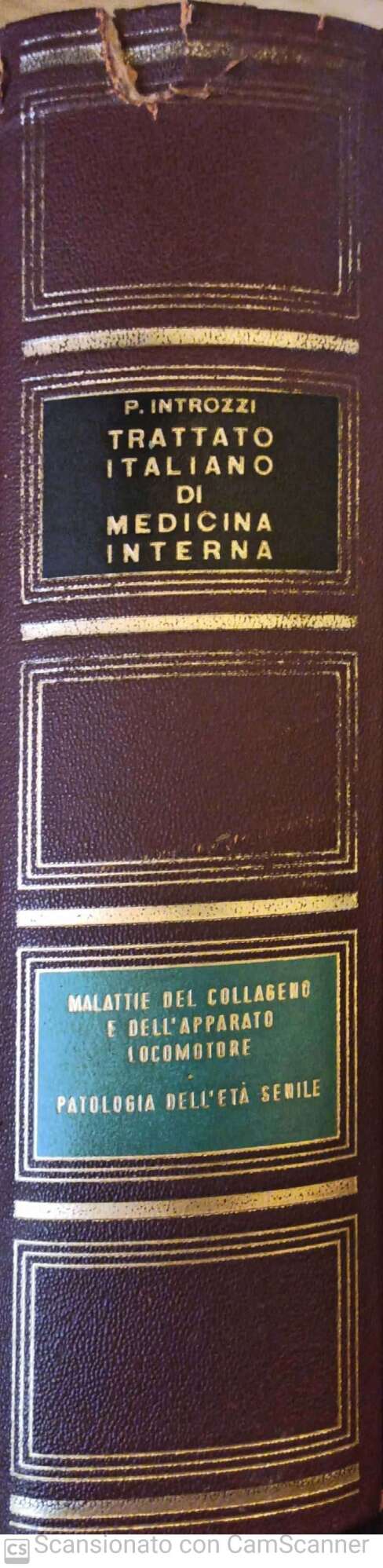 Trattato italiano di medicina interna. Parte decima. Malattie del collageno e dell'apparato locomotore.Patologia dell'età senile - copertina