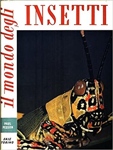 Il mondo degli insetti - copertina