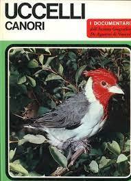 Uccelli Canori - copertina