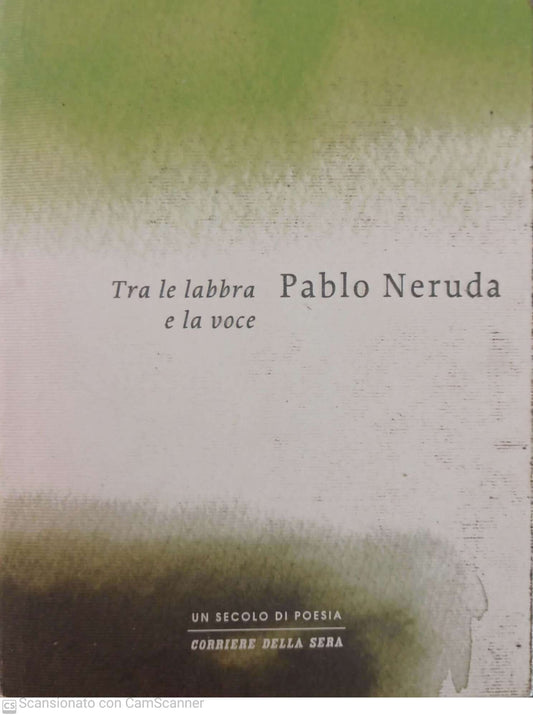 Tra le labbra e la voce - copertina