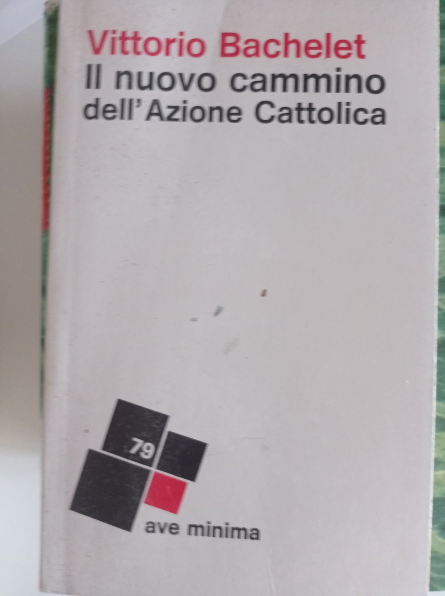 Il nuovo cammino dell'Azione Cattolica - copertina