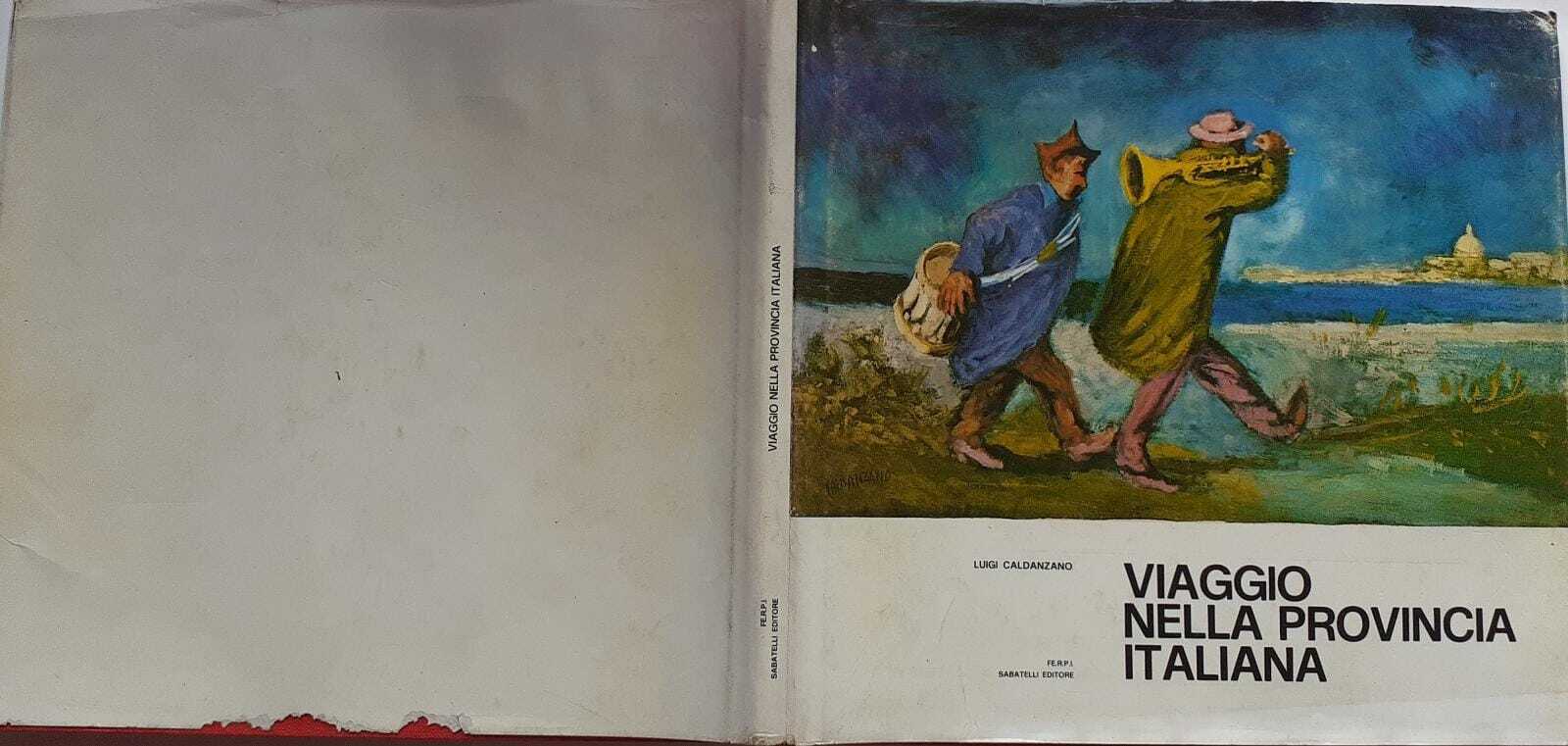 Viaggio nella provincia italiana - copertina