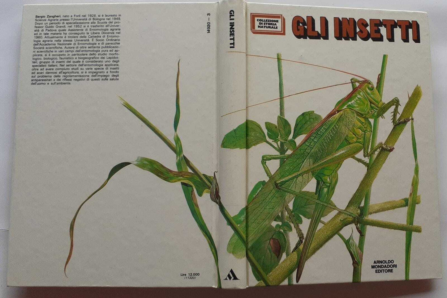 Gli insetti - copertina