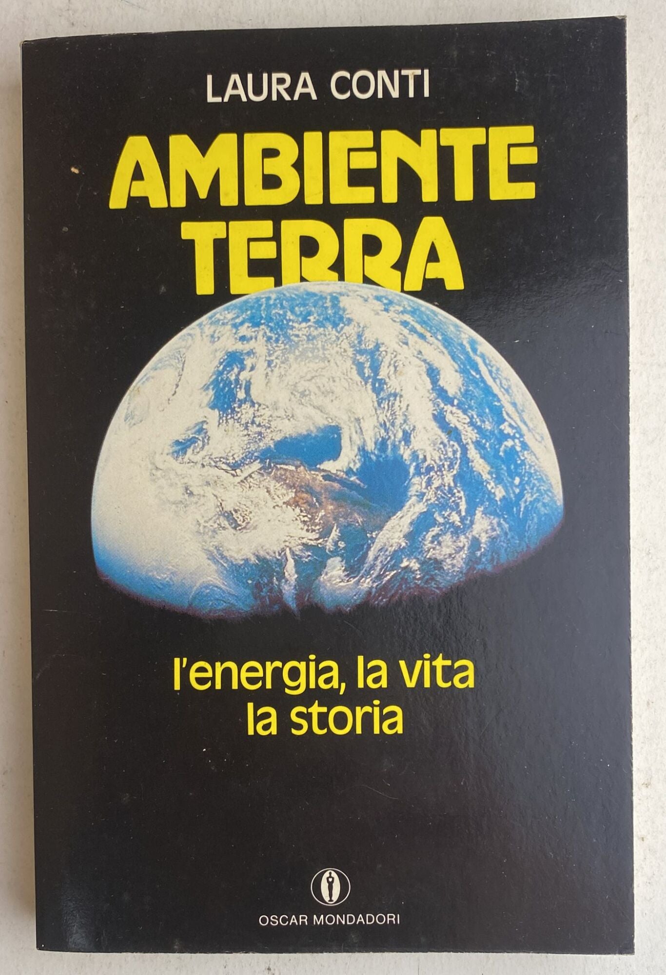 Ambiente terra. L'energia, la vita, la storia - copertina