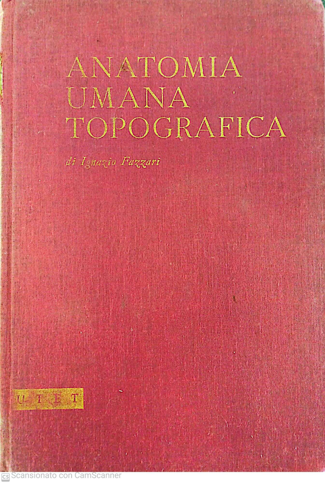 Anatomia umana topografica - copertina