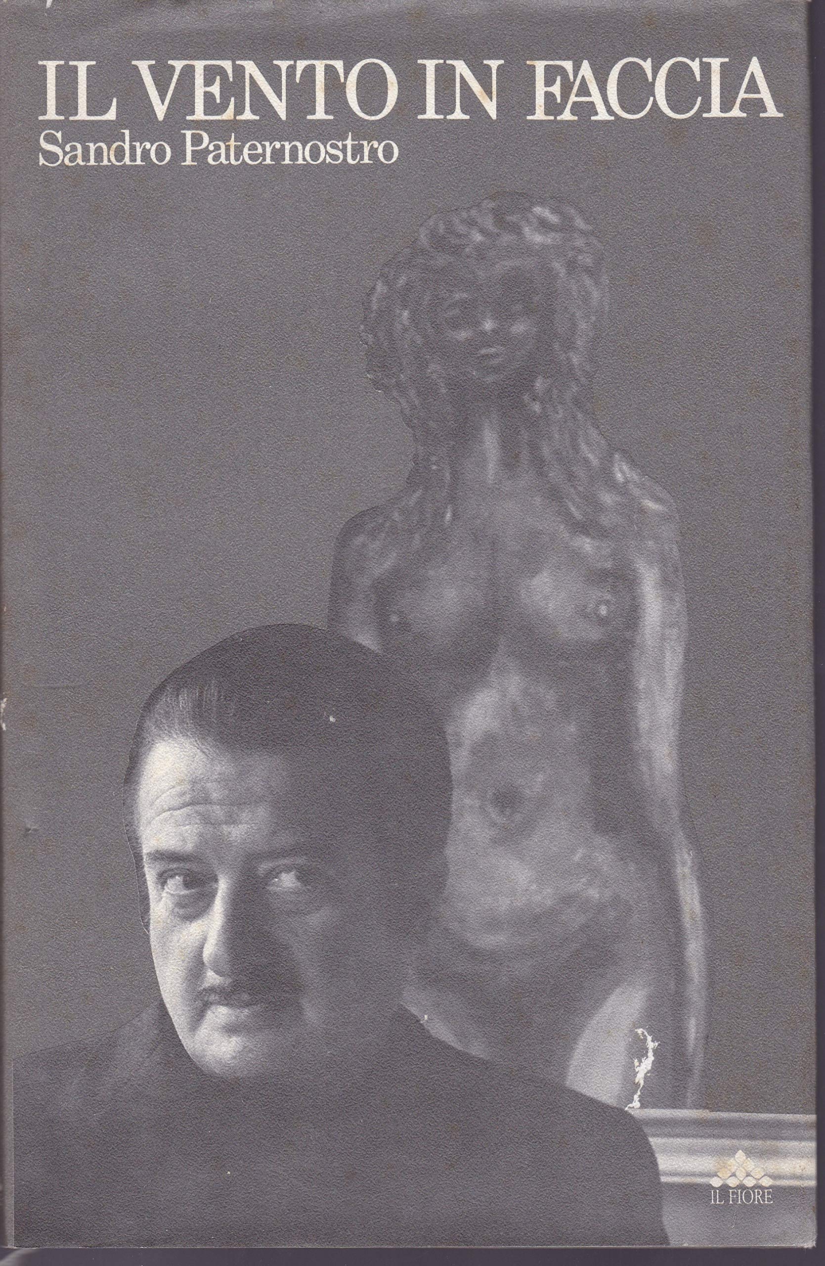 Il vento in faccia. Poesie e disegni - copertina