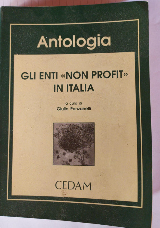 Gli enti non profit in Italia : associazioni, fondazioni, volontariato, trust, fondi pensione - copertina