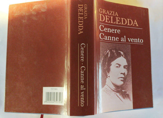 Cenere Canne al vento - copertina