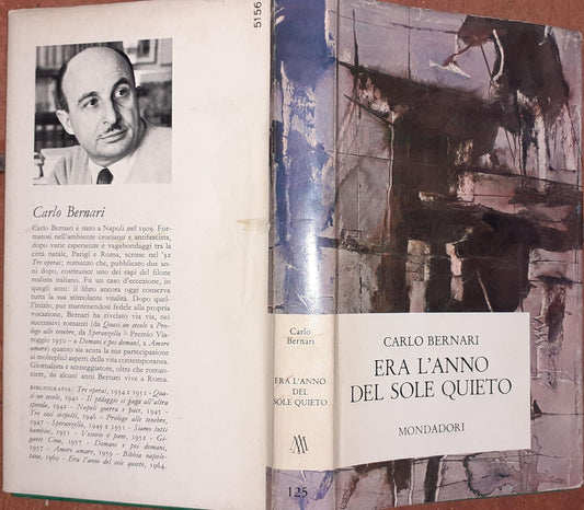 Era l'anno del sole quieto - copertina