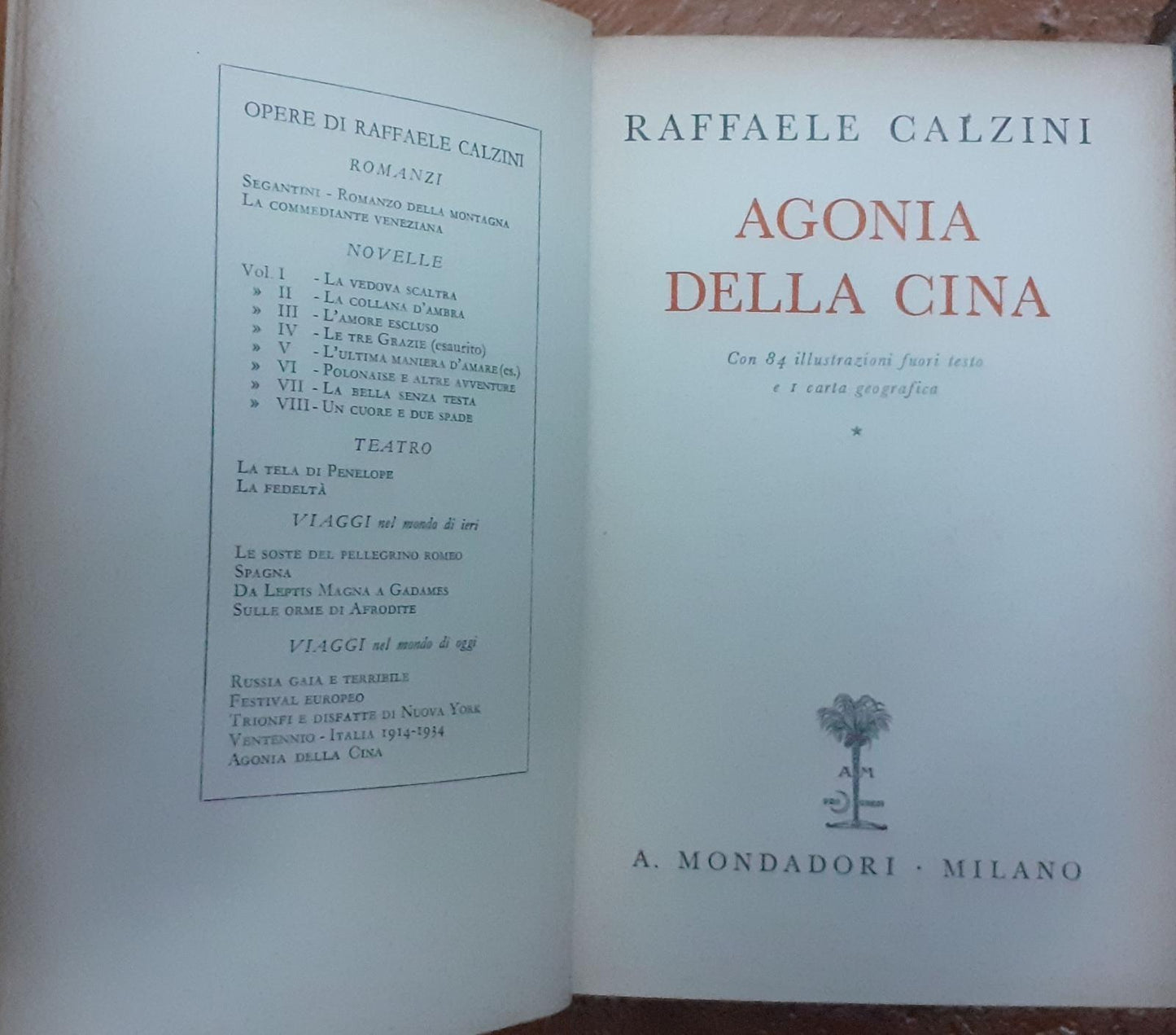 Agonia della Cina - copertina