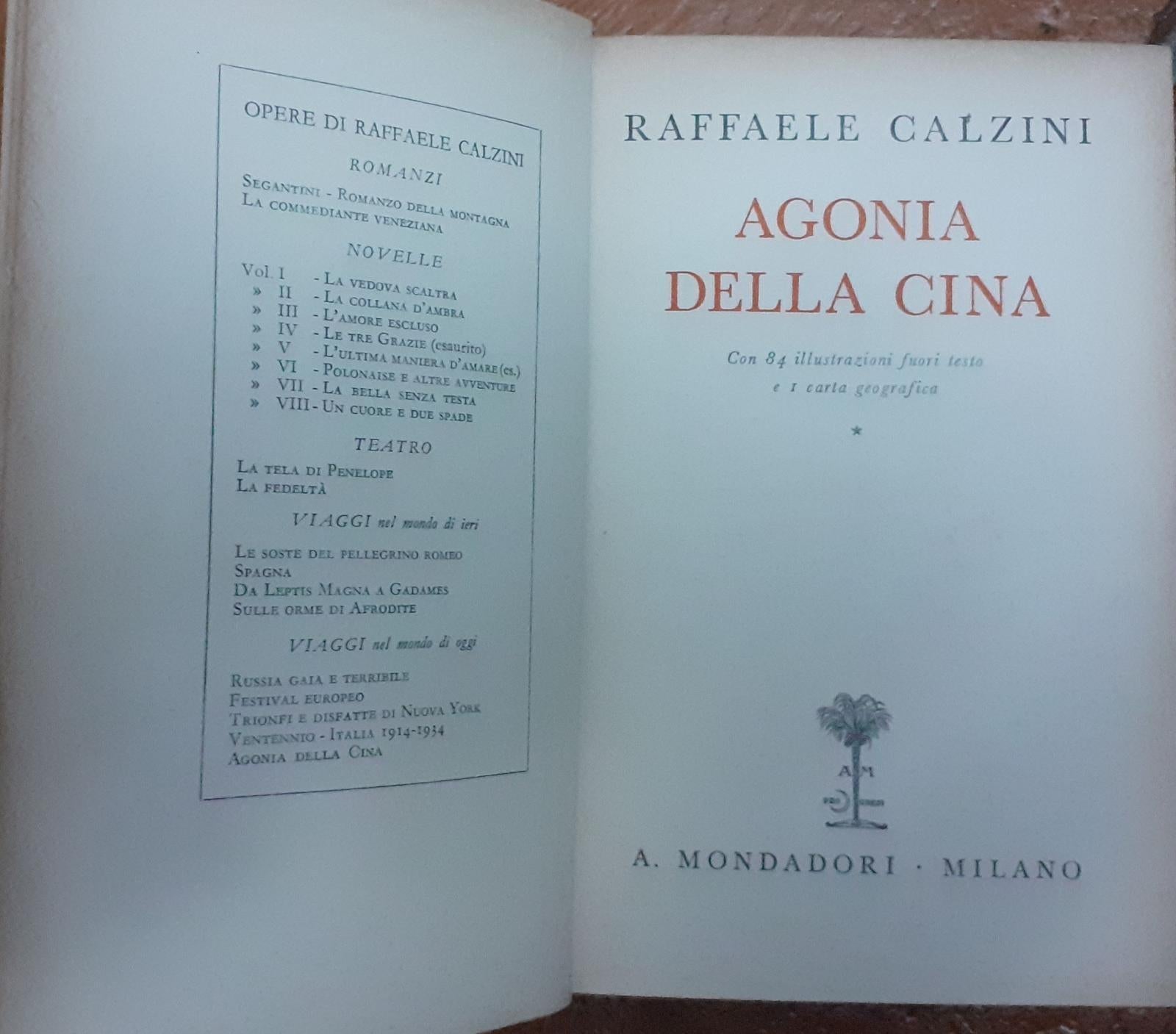 Agonia della Cina - copertina