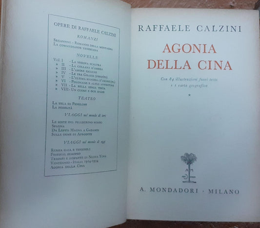 Agonia della Cina - copertina