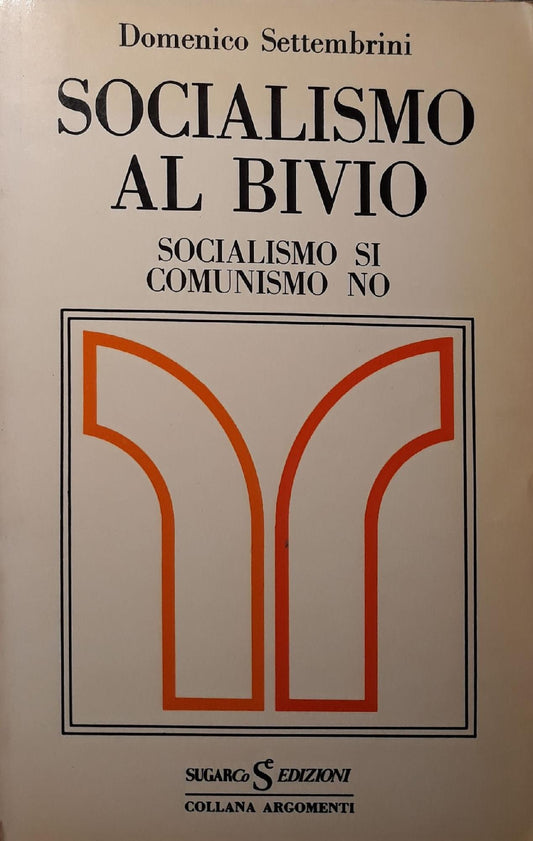 Socialismo al bivio: socialismo sì comunismo no - copertina