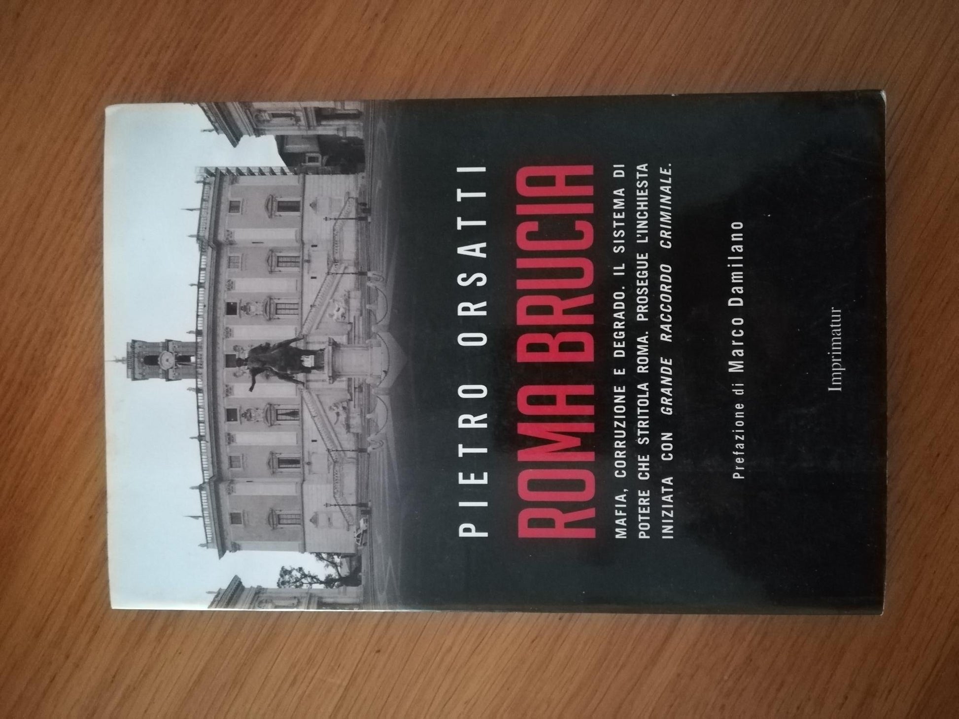 Roma brucia : mafia, corruzione e degrado : il sistema di potere che stritola Roma - copertina