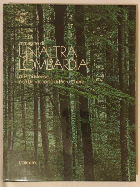 Immagine di un'altra Lombardia - copertina