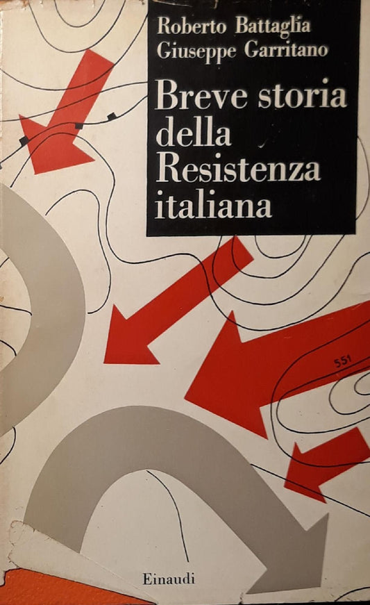 Breve storia della resistenza italiana - copertina