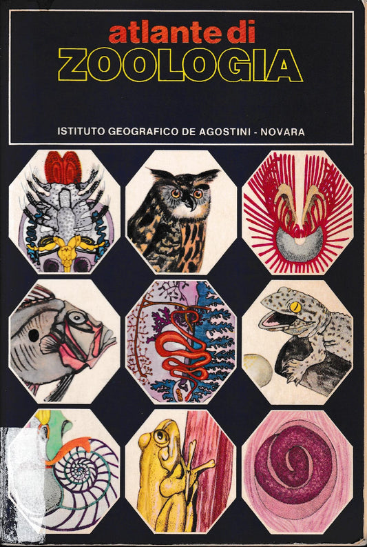 Atlante di zoologia, parte prima - copertina