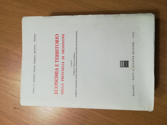 Economia e territorio nella provincia di Frosinone - copertina