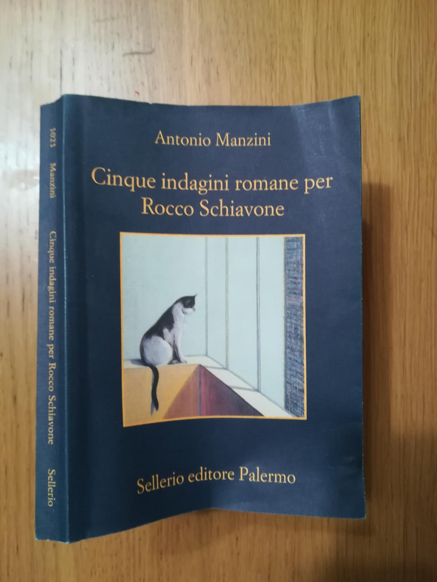 Cinque indagini romane per Rocco Schiavone - copertina