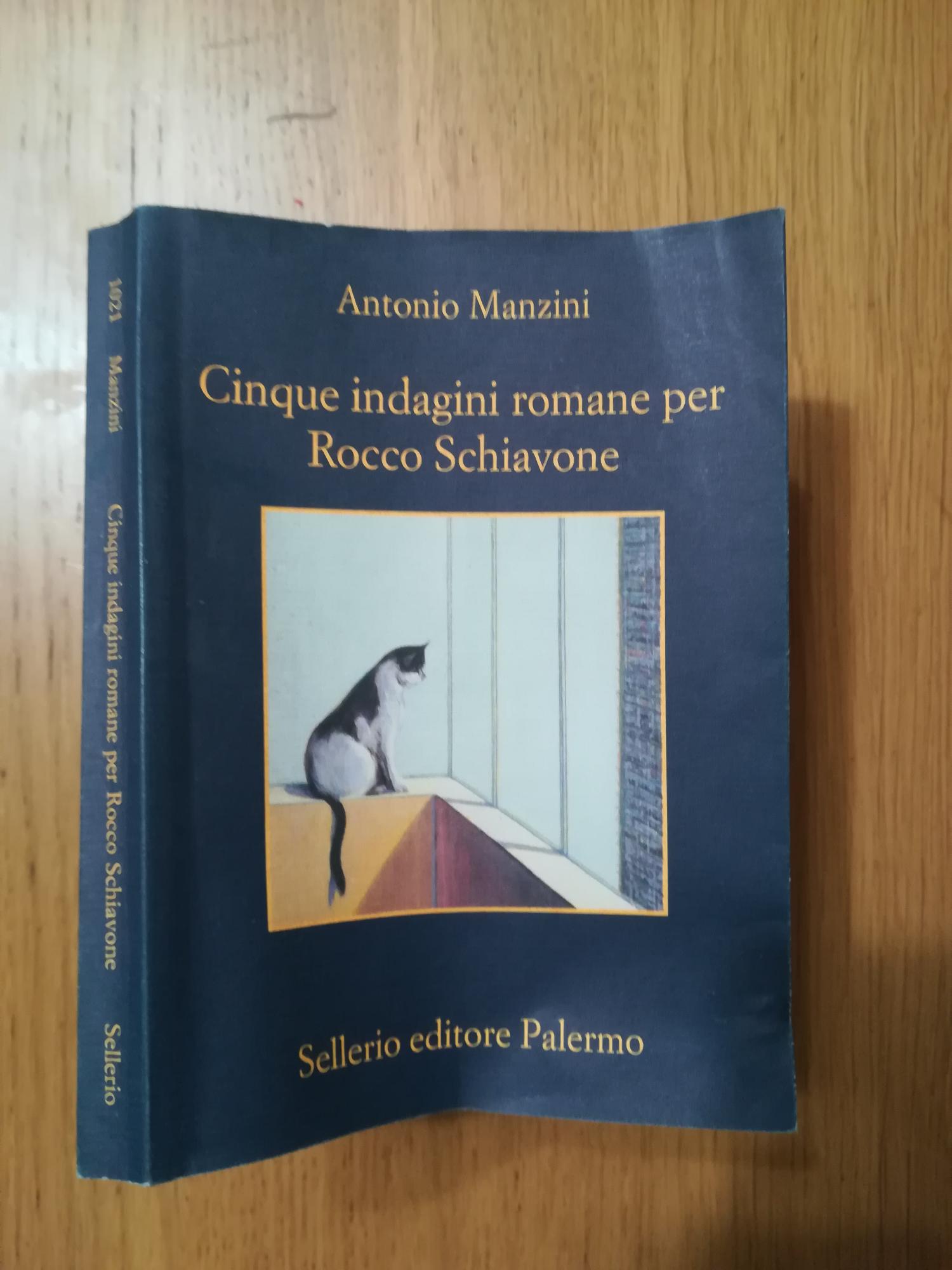 Cinque indagini romane per Rocco Schiavone - copertina
