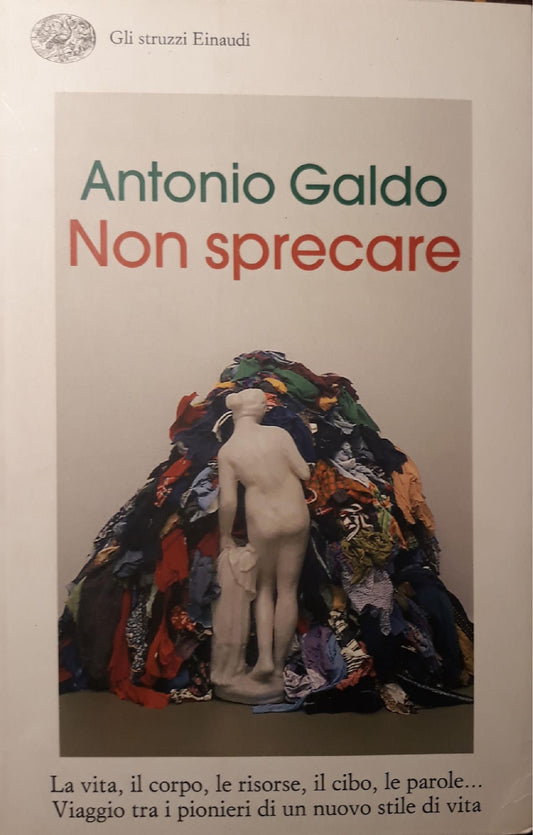 Non sprecare: La vita, il corpo, le risorse, il cibo, le parole.. viaggio tra i pionieri di un nuovo stile di vita. - copertina