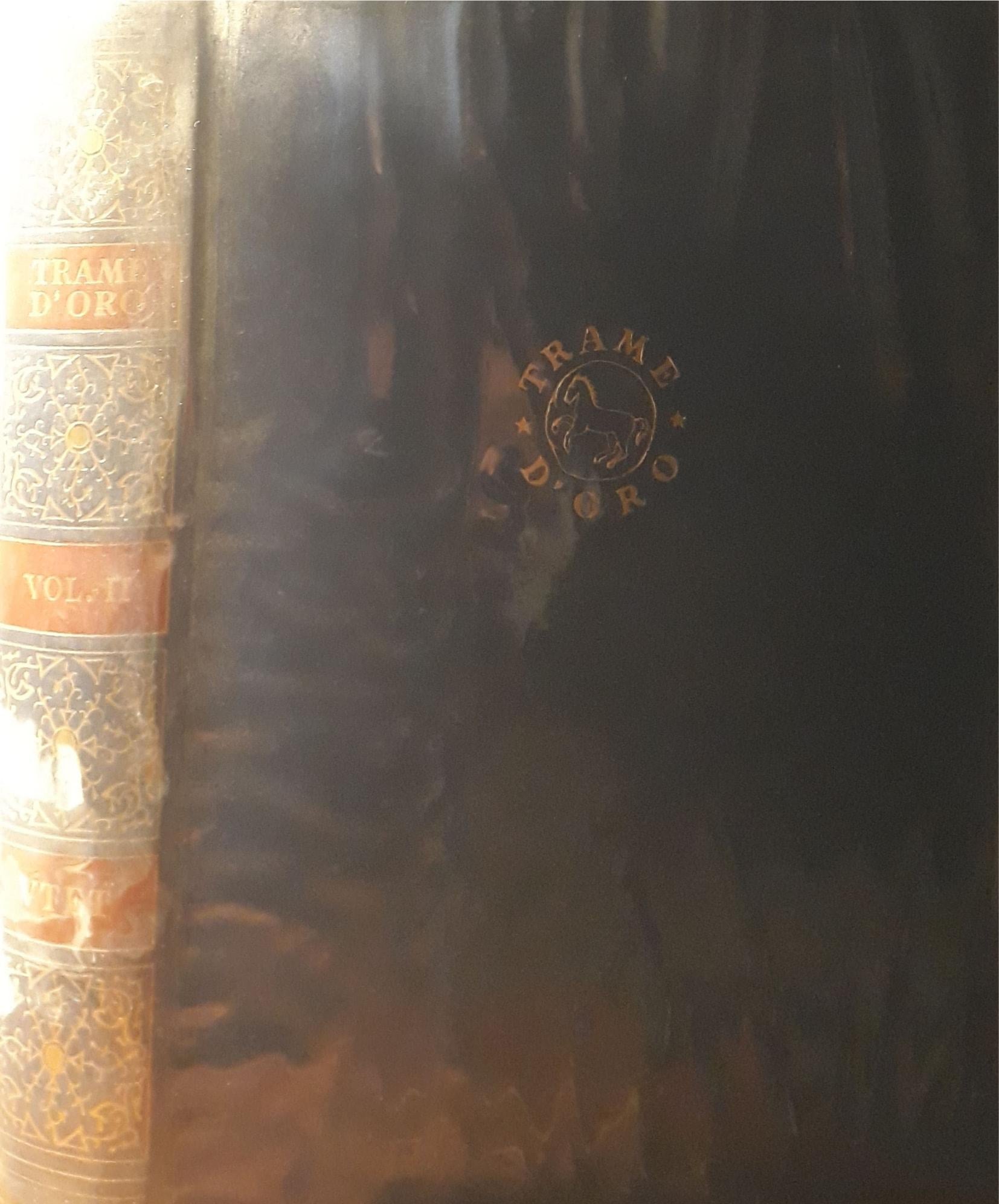 Trame d'oro: enciclopedia di letteratura narrativa (volume II) - copertina