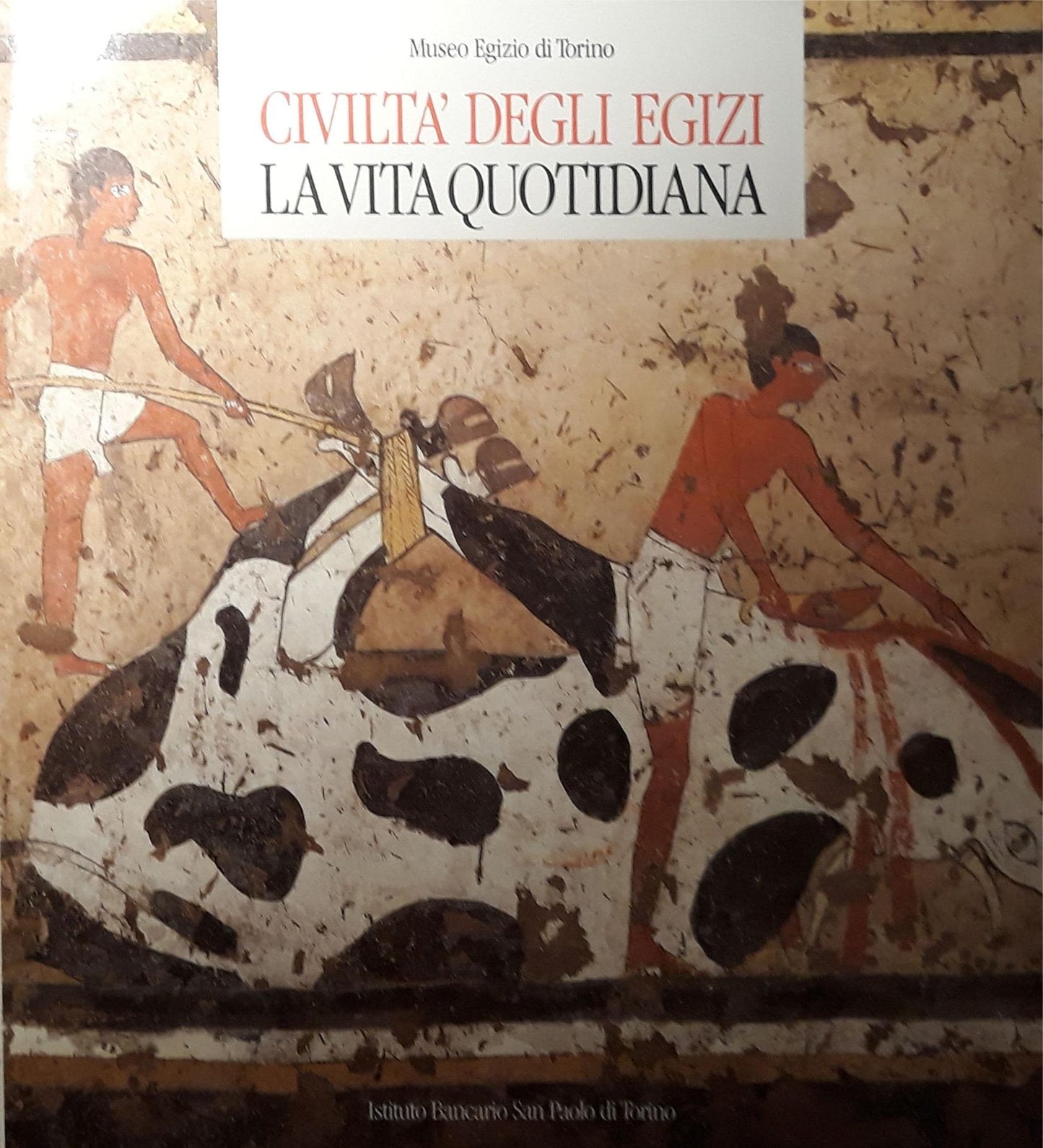 Museo Egizio di Torino; civiltà degli egizi: la vita quotidiana - copertina