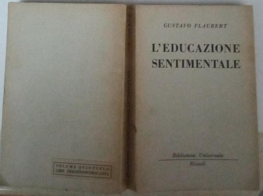 L'educazione sentimentale - copertina