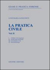 La pratica civile (Vol. 2) - copertina