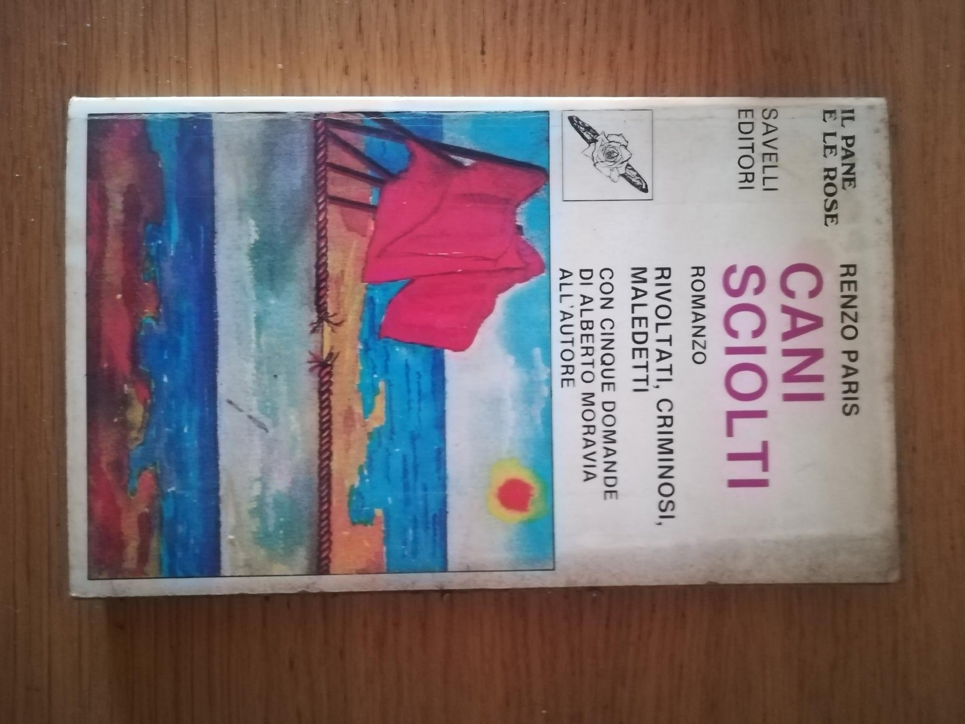 Cani sciolti - copertina