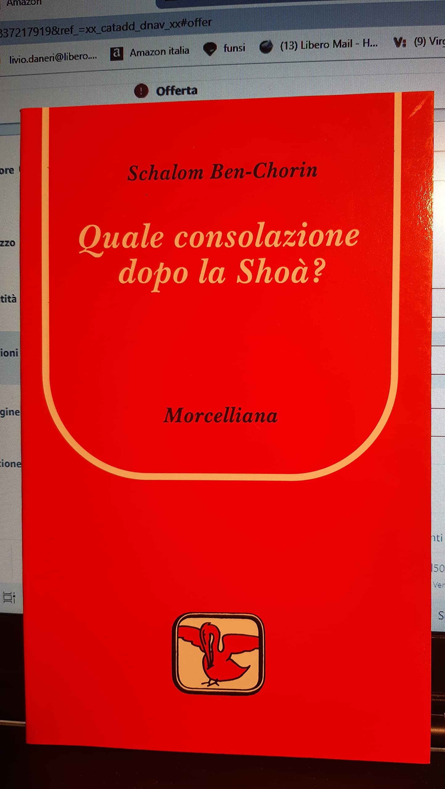 Quale consolazione dopo la Shoà? - copertina