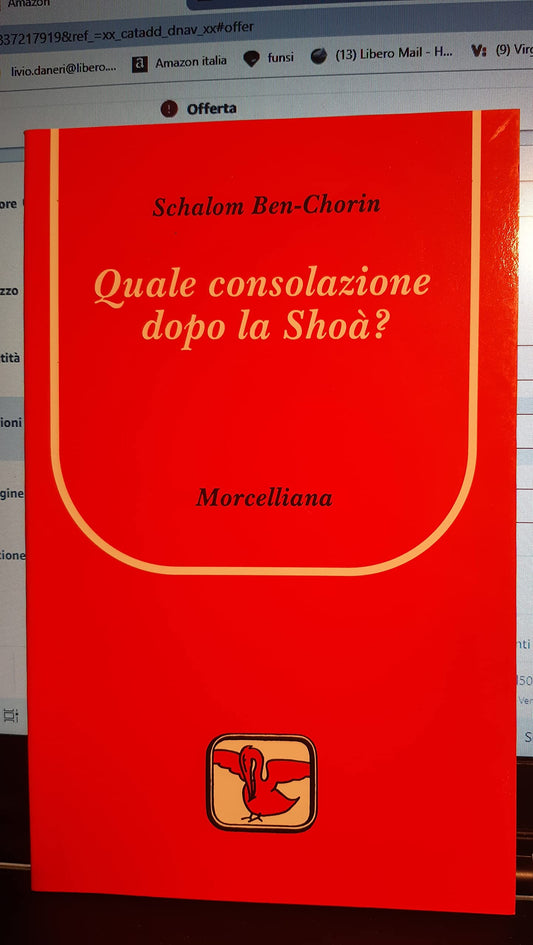Quale consolazione dopo la Shoà? - copertina