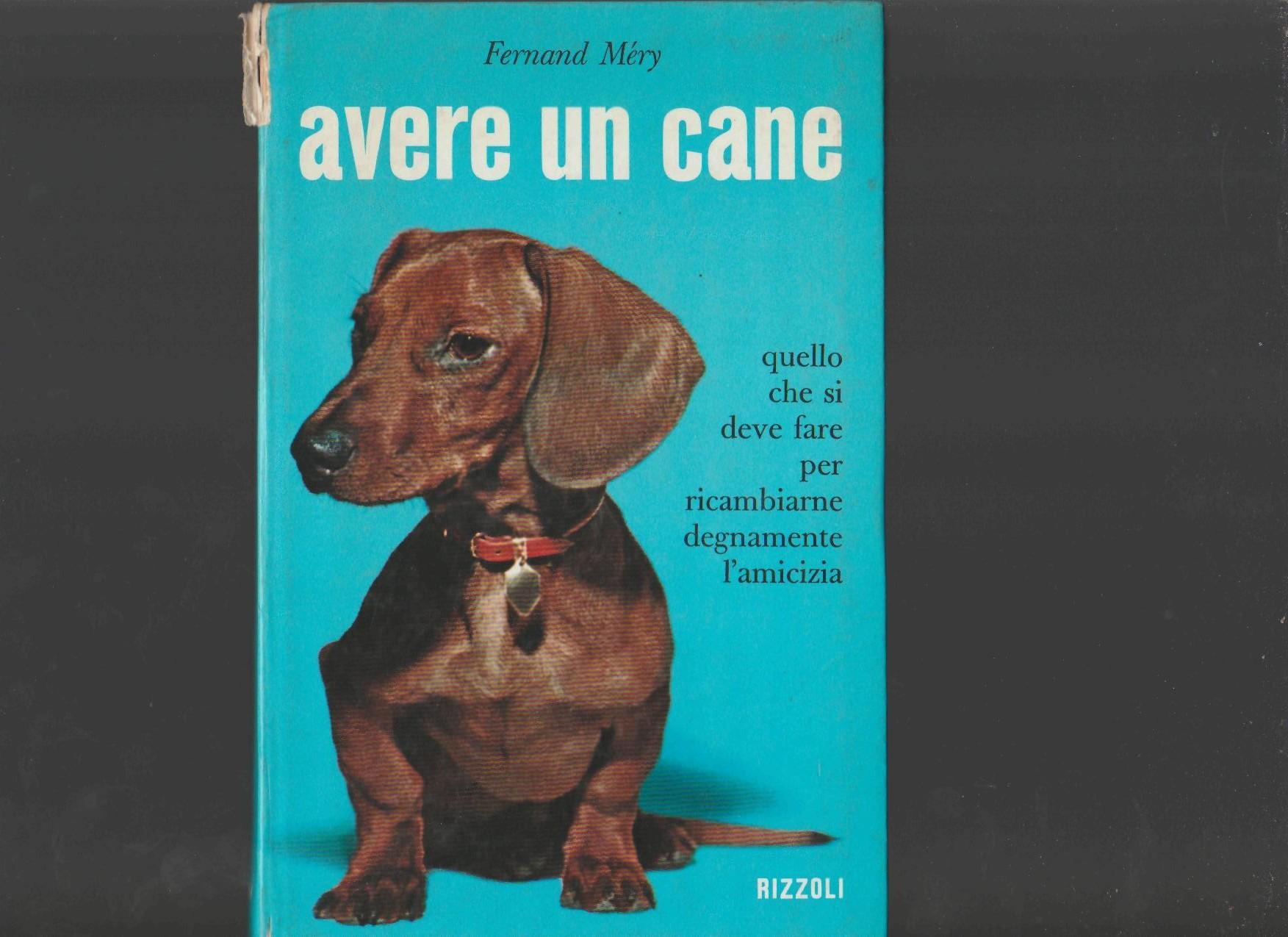 AVERE UN CANE - copertina