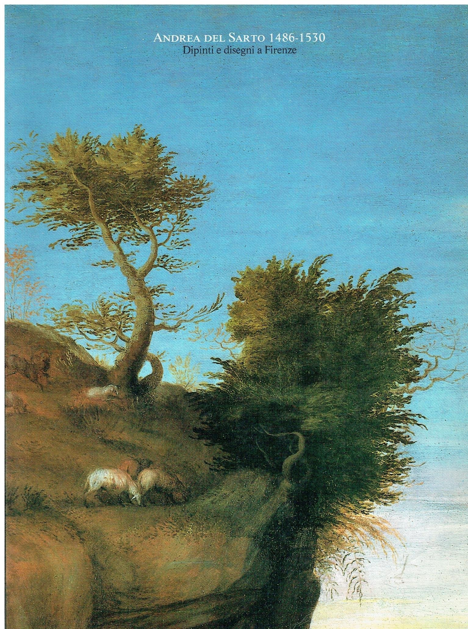 Andrea del Sarto (1486-1530). Dipinti e disegni a Firenze - copertina