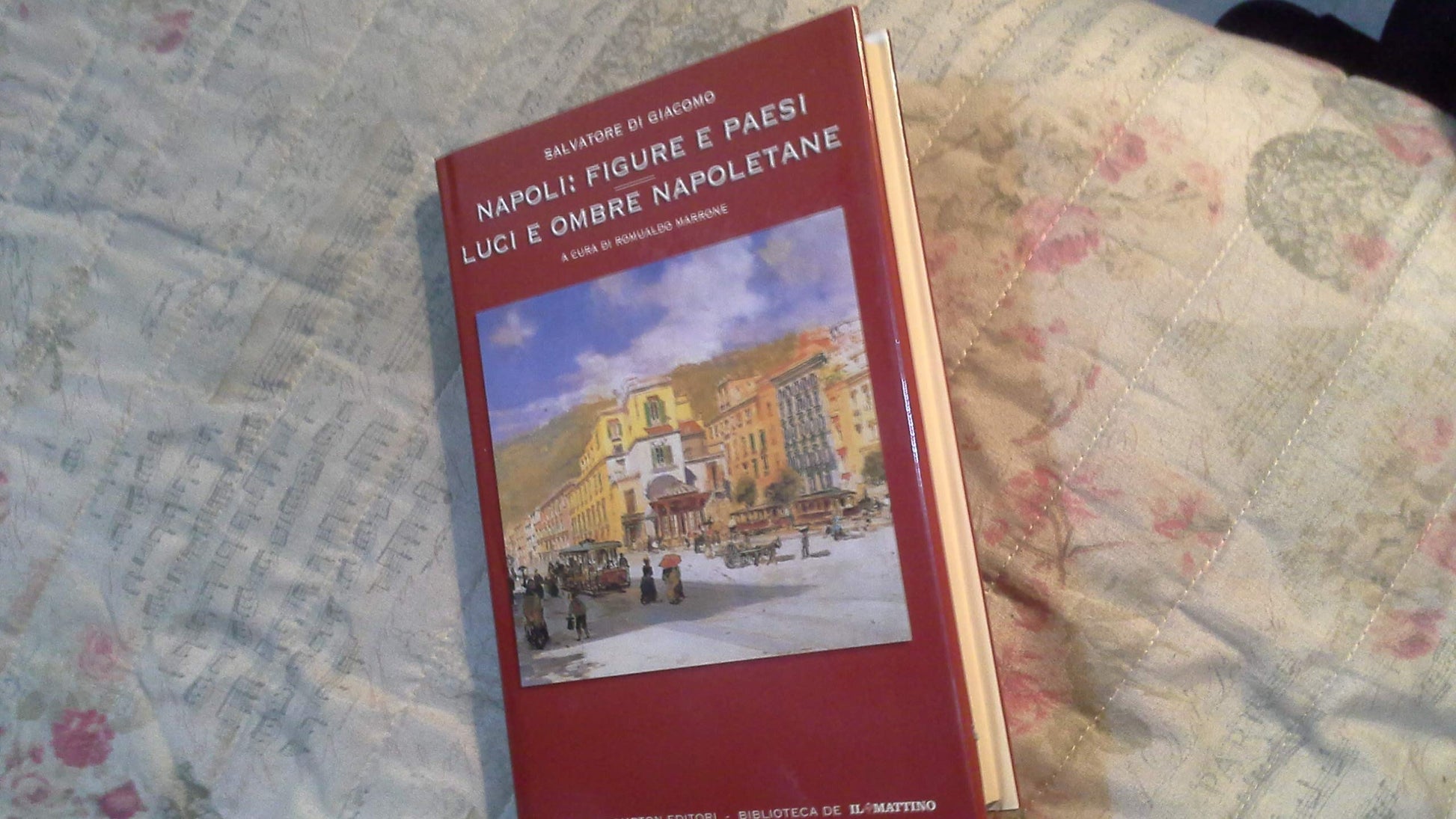 Napoli: figure e paesi e luci e ombre napoletane - copertina