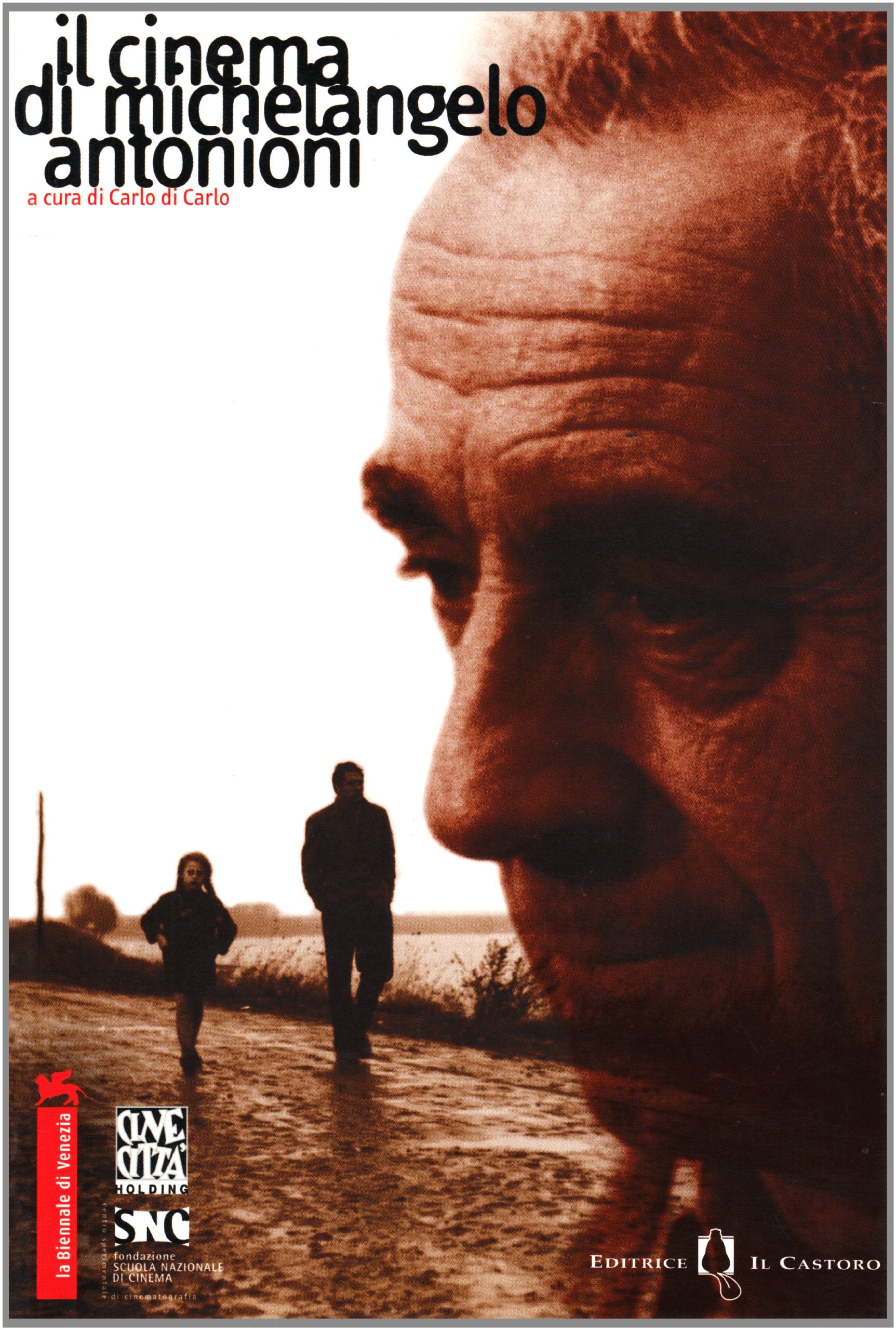 Il cinema di Michelangelo Antonioni - copertina