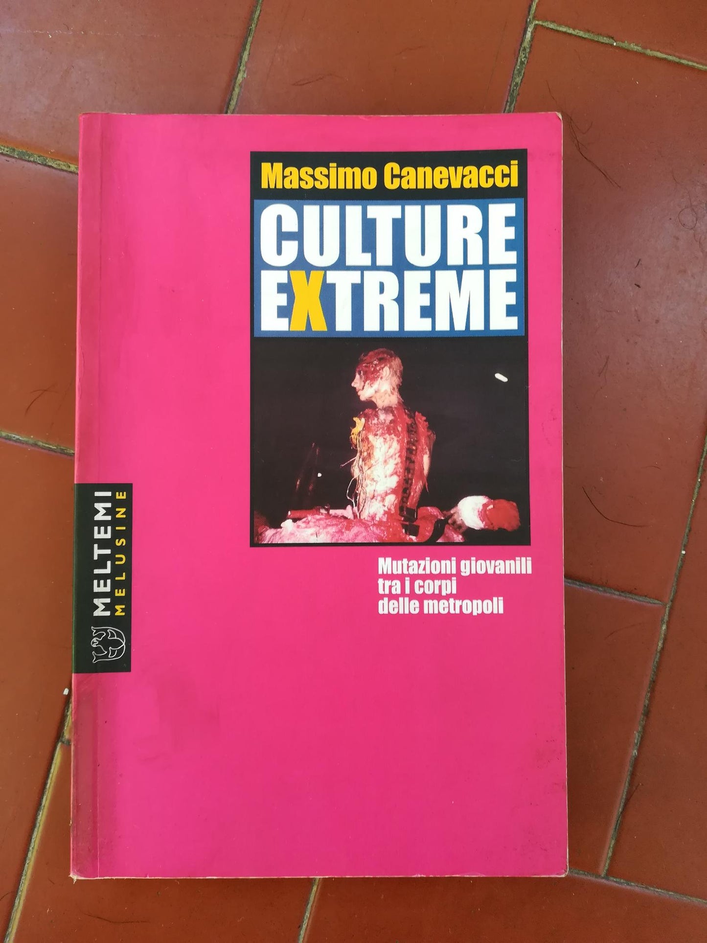 Culture extreme : mutazioni giovanili tra i corpi delle metropoli - copertina