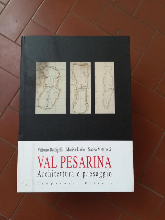 Val Pesarina : architettura e paesaggio - copertina