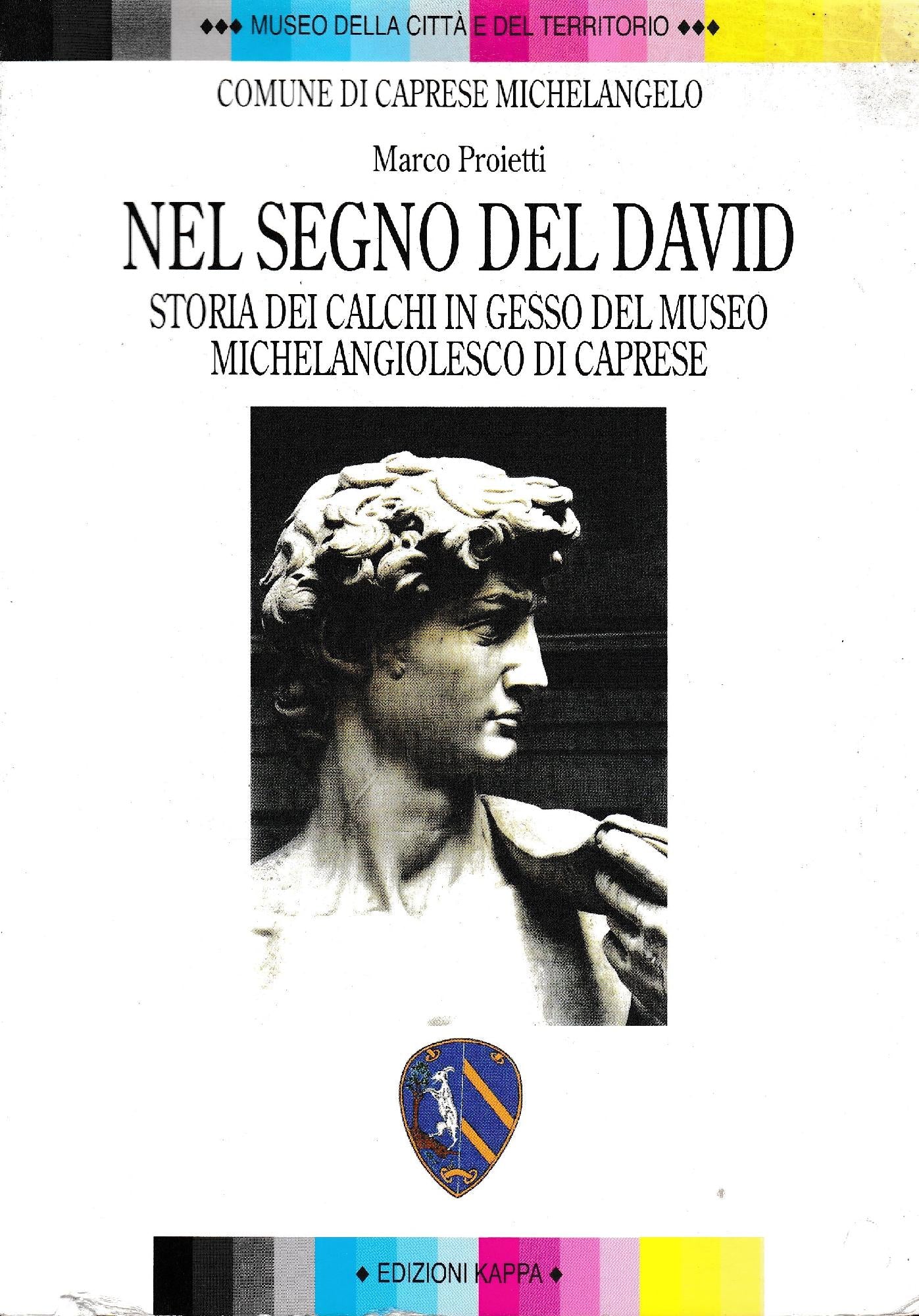 Nel segno del David : storia dei calchi in gesso del museo michelangiolesco di Caprese - copertina