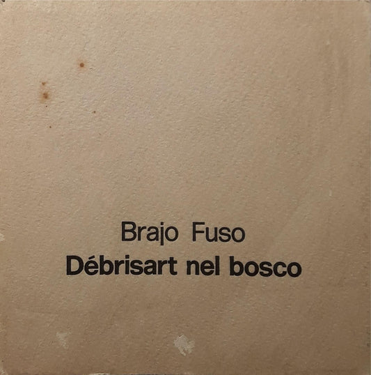 Brajo Fuso: Debrisart nel bosco - copertina