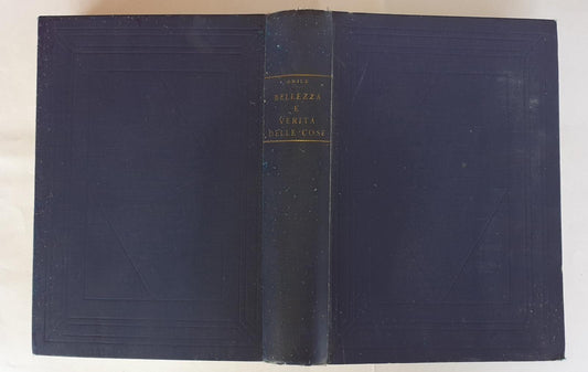 Bellezza e verità delle cose - copertina