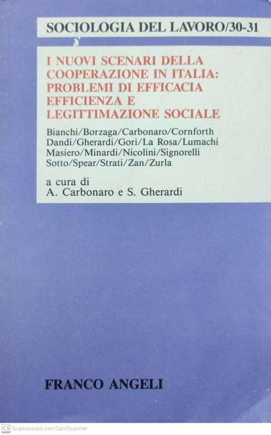 I nuovi scenari della cooperazione in Italia: problemi di efficacia, efficienza e legittimazione sociale. - copertina