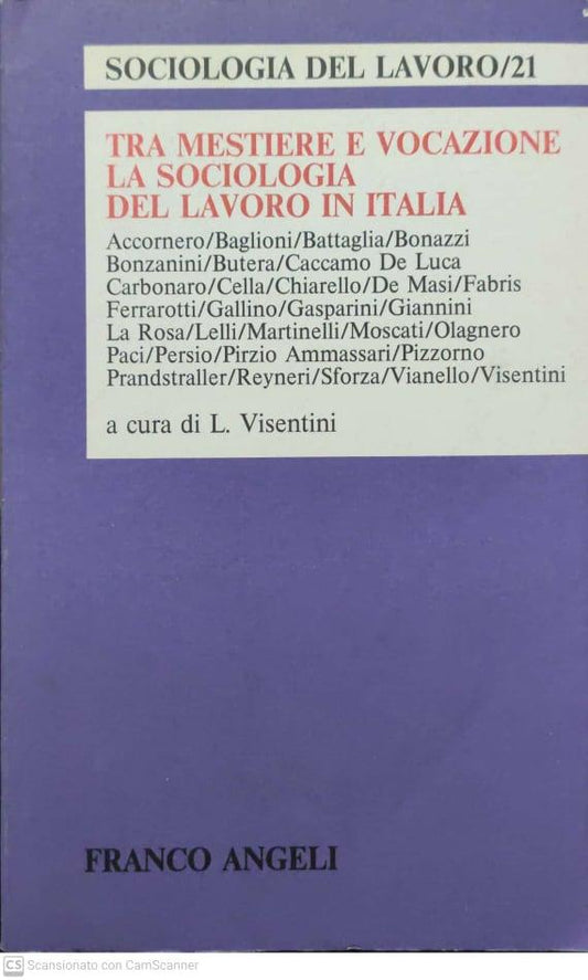 Tra mestiere e vocazione, la sociologia del lavoro in italia - copertina