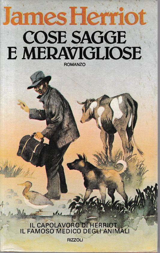 Cose sagge e meravigliose - copertina
