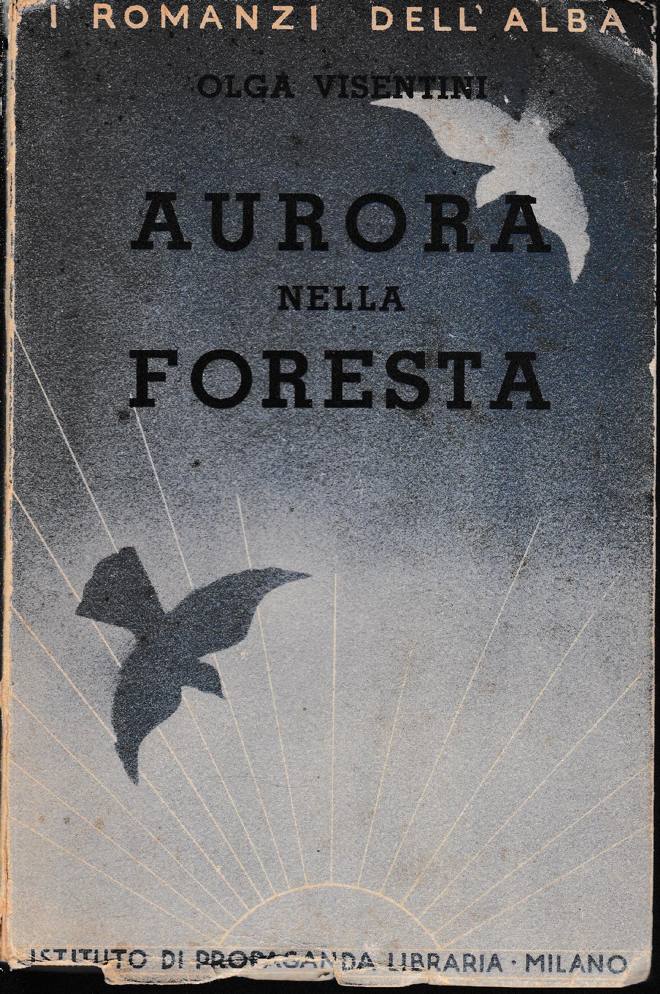 Aurora nella foresta - copertina