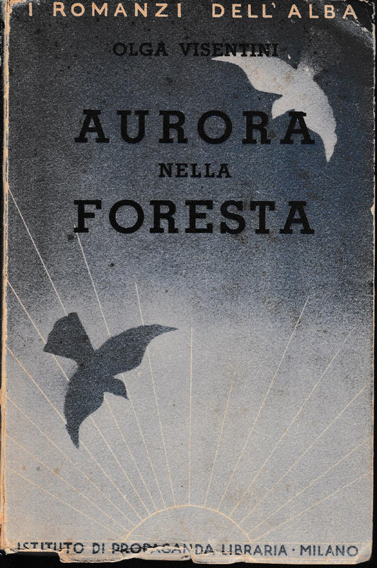 Aurora nella foresta - copertina