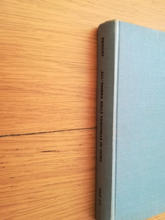 All'ombra delle fanciulle in fiore - copertina