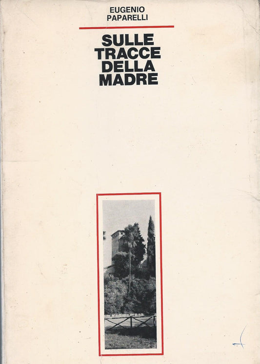 Sulle tracce della madre - copertina