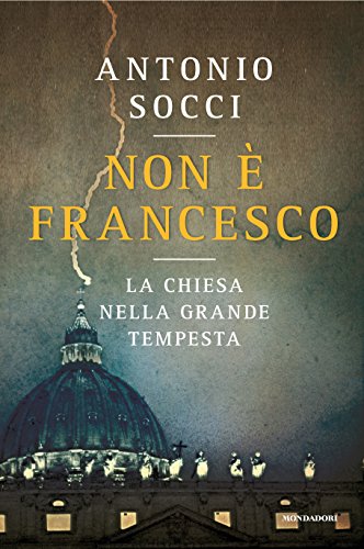 Non è Francesco. La Chiesa nella grande tempesta - copertina