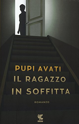Il ragazzo in soffitta - copertina